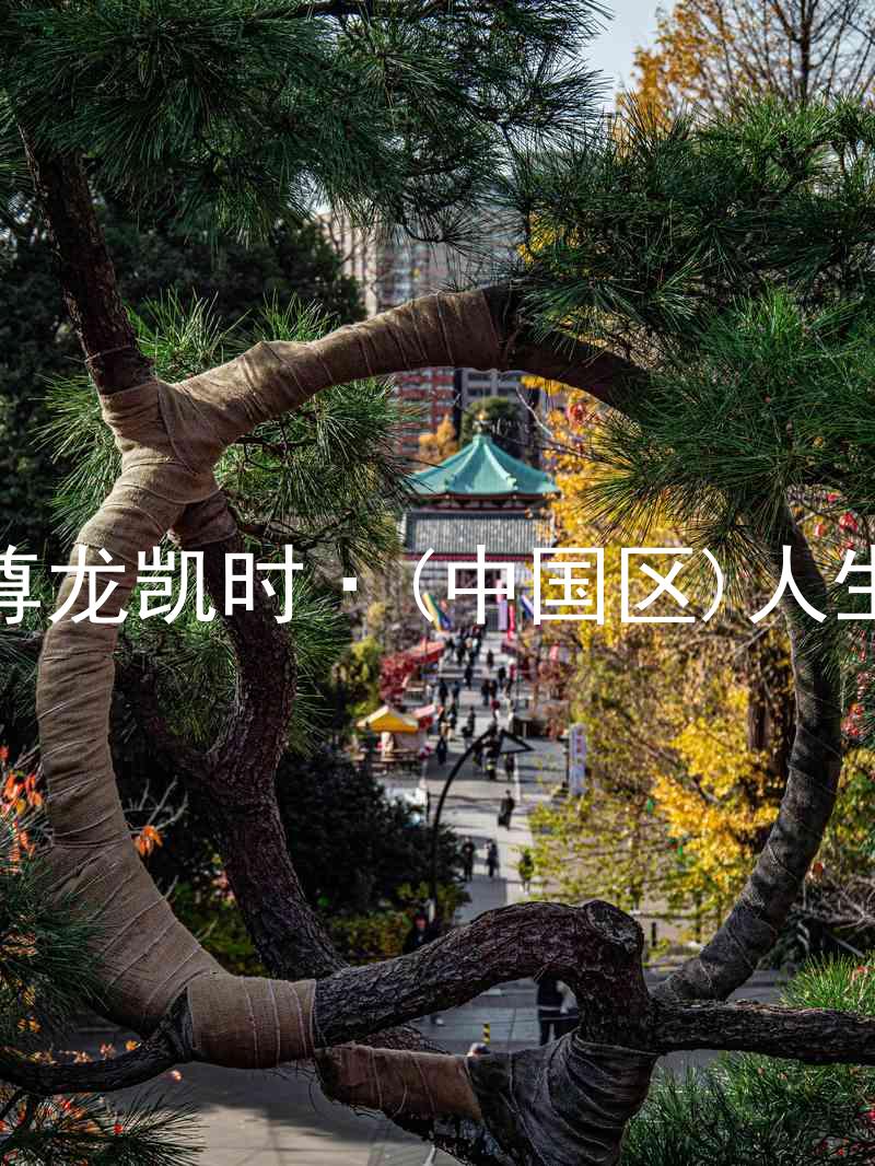 尊龙凯时·(中国区)人生